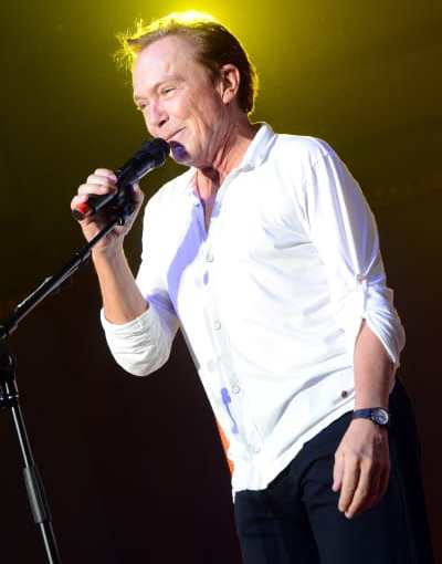David Cassidy Confesses to Battle with Dementia